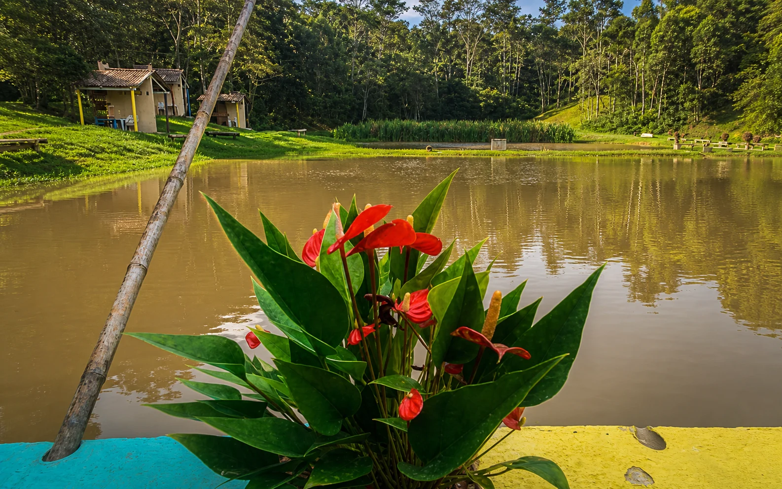 Pesca esportiva